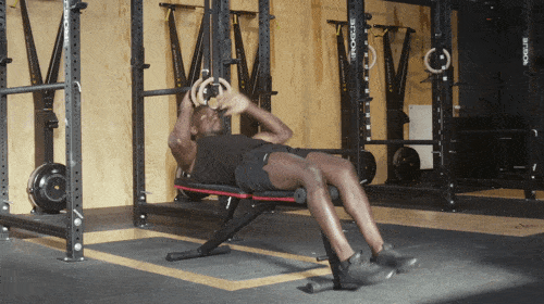Dumbbell-Bench-Ireland-Value