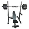Commercial Squat Stand and weights bench