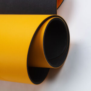 Yoga Mat with Alignment Lines