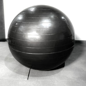 Swiss Exercise Ball