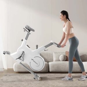 Indoor Spin Bike Specifications