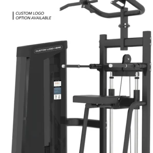 Assisted Pull-Up / Dip Machine