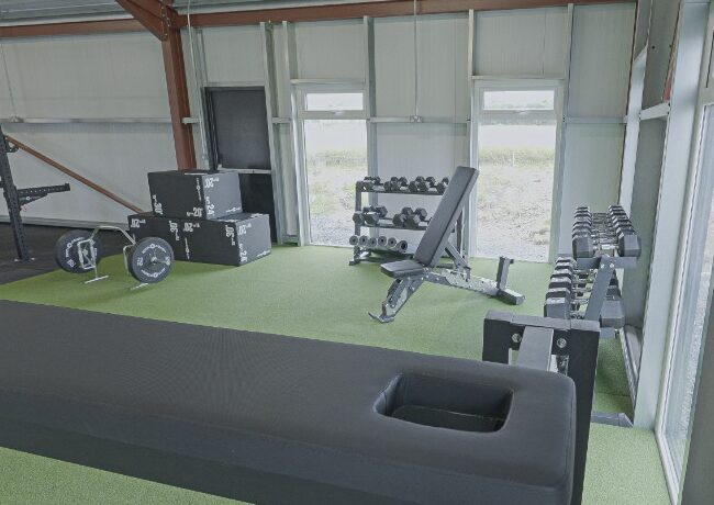 Dumbbells and a prone row bench in Cashel RFC