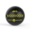 Elite Wall Ball 4kg (€44.99)
